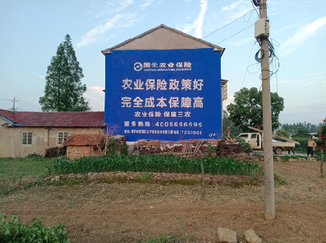 巧家墙体广告为何受追捧?