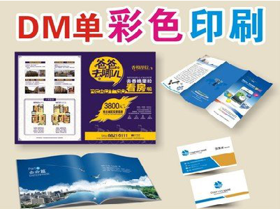 巧家单页印刷，色彩搭配简单。